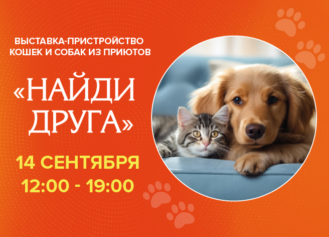 найди друга